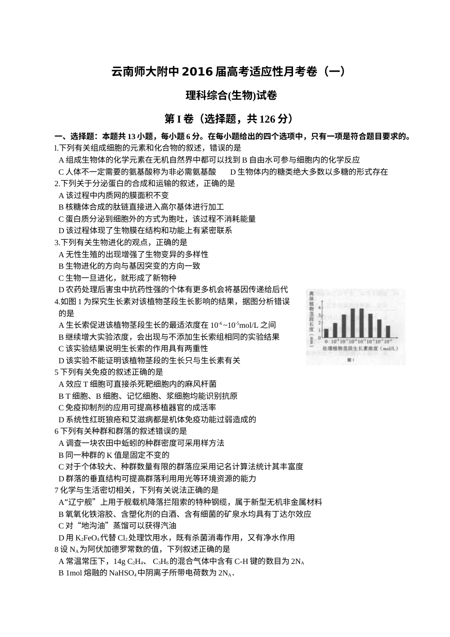 云南师大附中高三物理高考适应性月考卷（人教版）含答案与解析