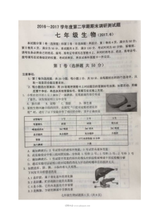 济南市槐荫区2016-2017学年七年级下学期生物期末考试试题及答案（人教版）
