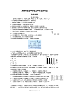 虎林一中高三年级生物学科期末考试试卷（人教版）及参考答案